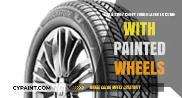 2007 Chevy Trailblazer LS: Painted Wheels or Not?