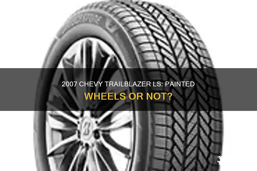 did a 2007 chevy trailblazer ls come with painted wheels