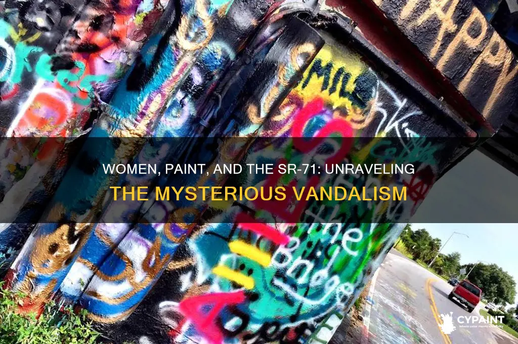 did a group a women throw paint on a sr-71