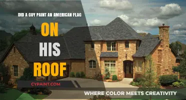 American Flag Roof Art: One Man's Patriotic Statement or Stunt?