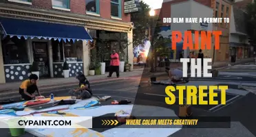 BLM Street Painting: Who Authorized This?