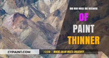 Did Paint Thinner Contribute to Bob Ross's Death?