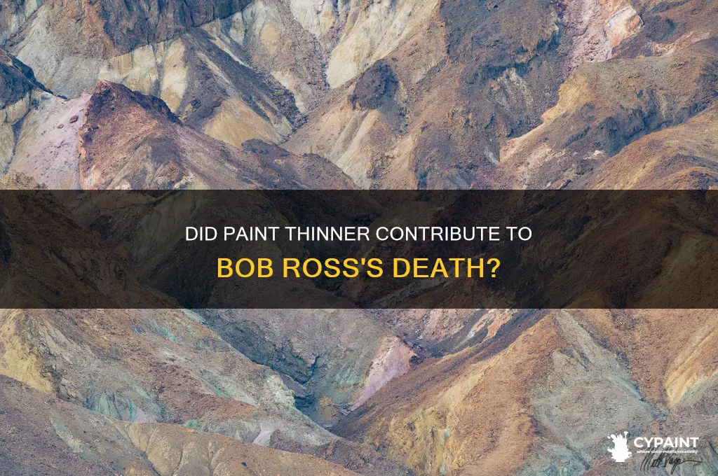 did bob ross die because of paint thinner