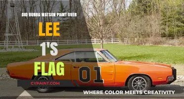 Bubba Watson's Painted Over Lee 1's Flag