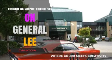 Did Bubba Watson Paint Over the Flag on General Lee?
