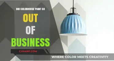 Is Colorhouse Paint Still in Business? Unraveling the Mystery