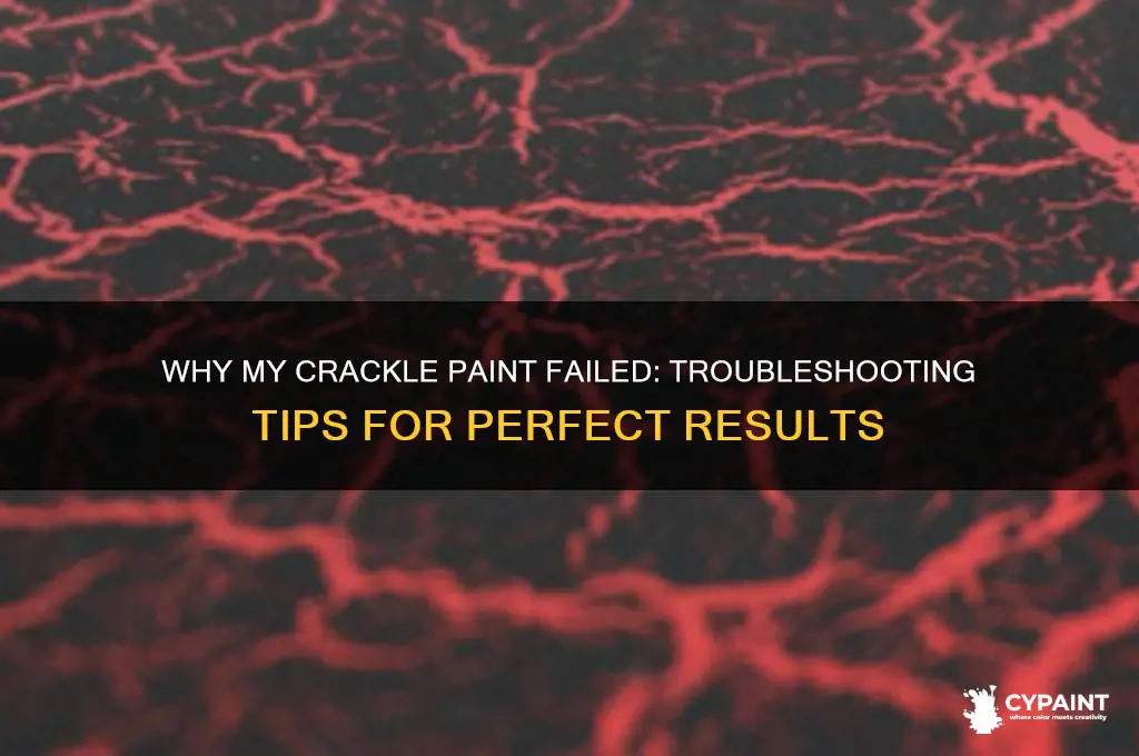 did i do my crackle paint not work