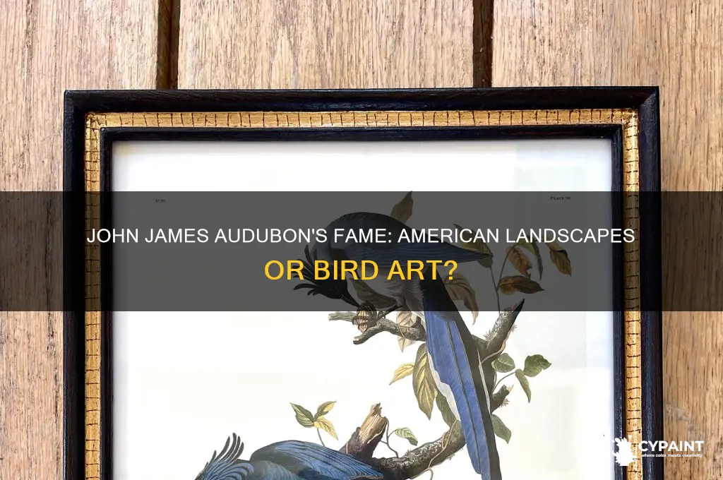 did john jmes audubon become famous for painting american landscapes