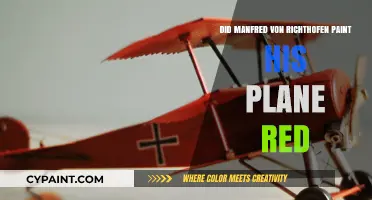 Manfred von Richthofen's Red Plane: Fact or Fiction?