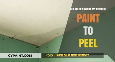 Mildew's Role in Peeling Exterior Paint: Causes and Solutions