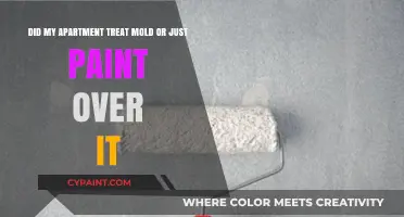 Mold or Makeover? Uncovering My Apartment’s Hidden Wall Secret