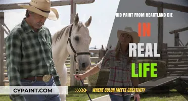 Heartland Paint Actor's Death: Separating Fact from Fiction