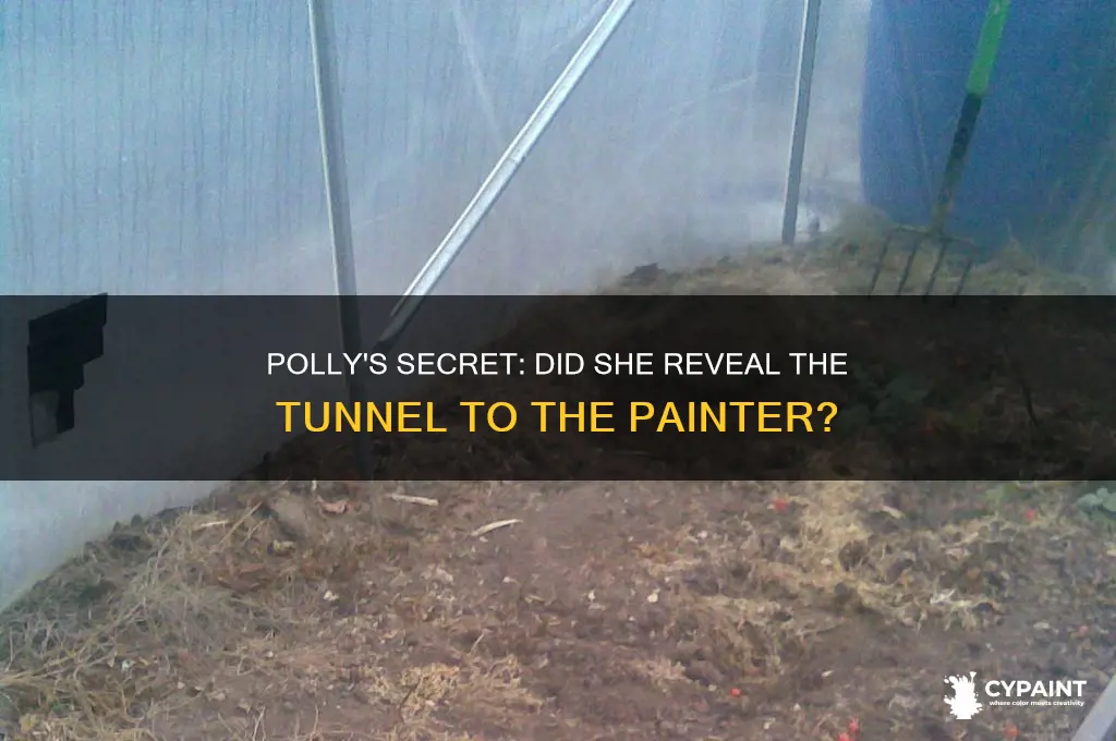 did polly tell the painter about the tunnel