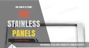 Santa Fe's Stainless Panels: Painted or Untouched?