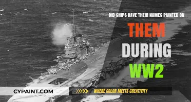 WWII Ship Identification: Painted Names or Stealth Tactics?