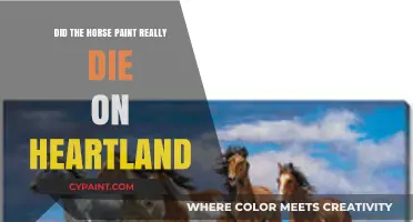 Heartland's Horse Painting Mystery: Did the Horse Truly Die?