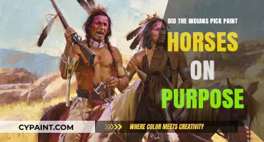Did Native Americans Intentionally Breed Paint Horses? Uncovering Historical Insights
