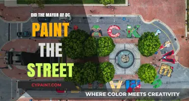 DC Mayor's Street Art: Who Painted the Black Lives Matter Mural?