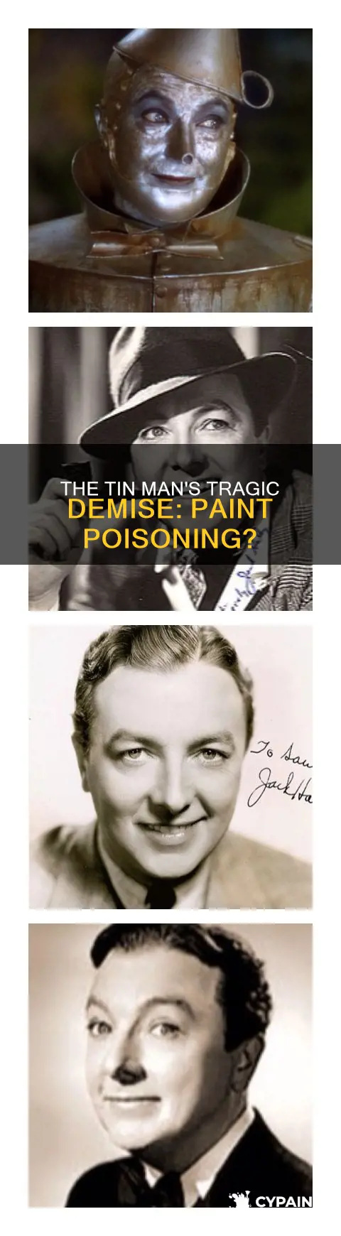 did the original tin man die from the paint