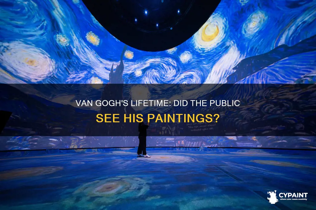 did the public see van goghs paintings during his lifetime