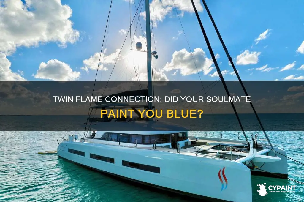 did the twin flame paint you blue