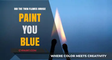 Twin Flames' Bruise: Did Their Paint Turn You Blue?