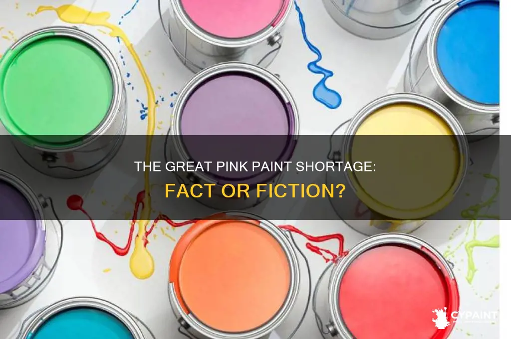 did the world run out of pink paint