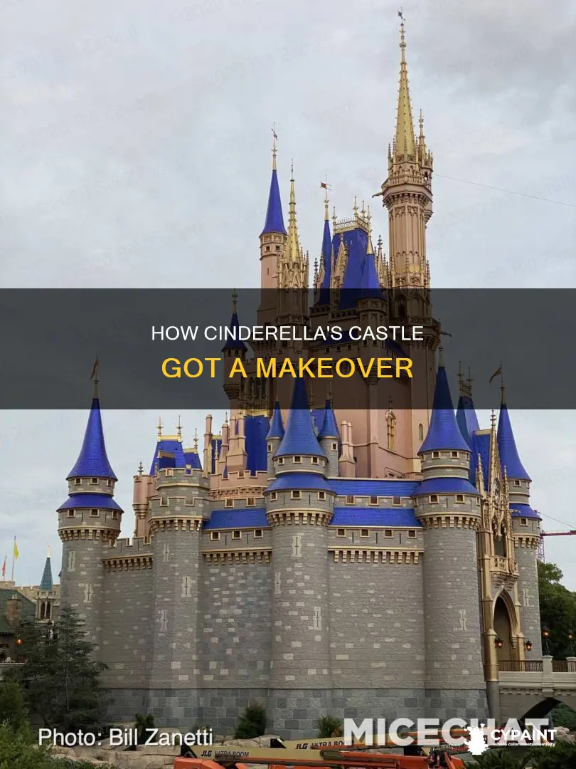 did they paint cinderella