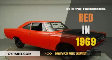 Road Runners: Red Hoods in 1969