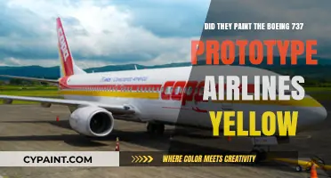 Why Was the Boeing 737 Prototype Yellow?
