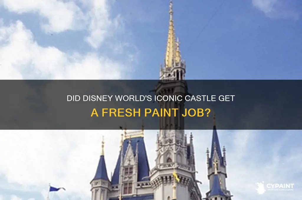 did they paint the disney world castle
