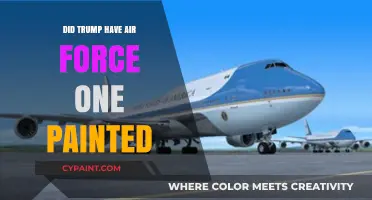 Did Trump Repaint Air Force One? Uncovering the Presidential Plane's Makeover