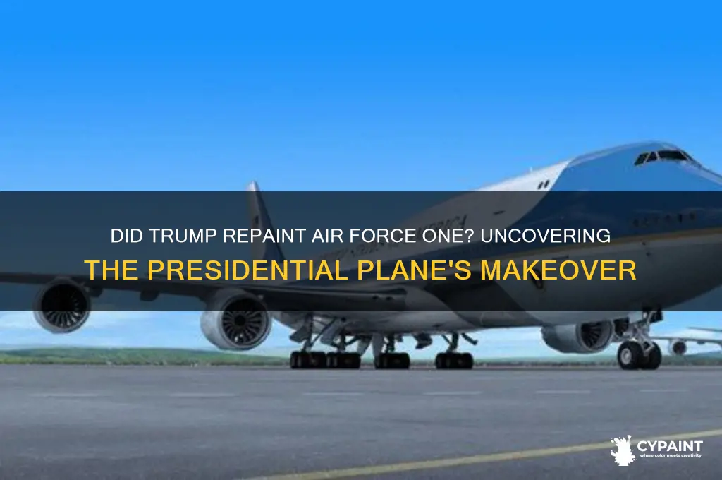 did trump have air force one painted
