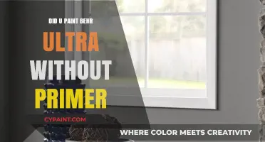 Painting with Behr Ultra: Primer-Free Tips and Results Revealed
