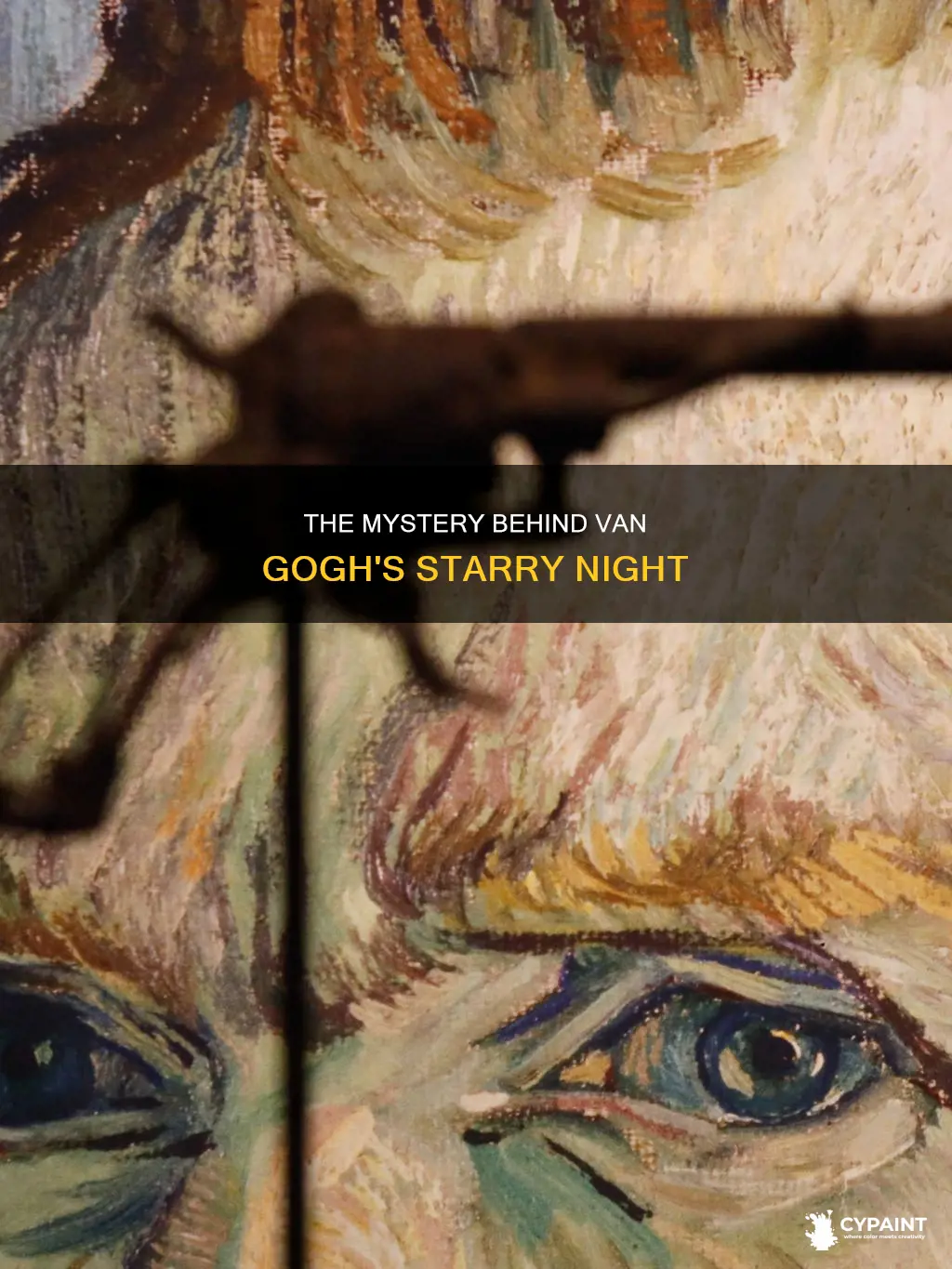 did van gogh kill himself after painting starry night