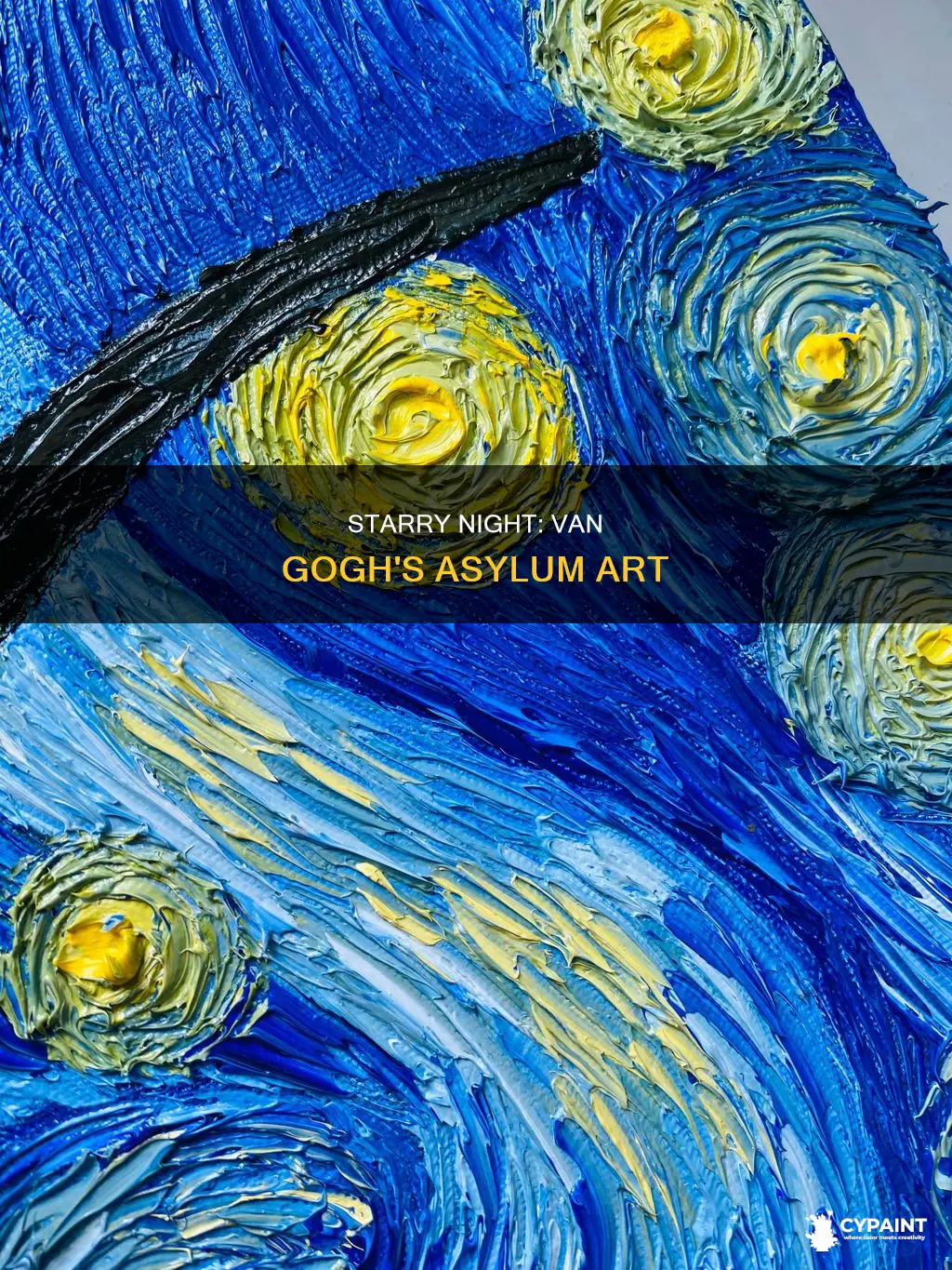 did van gogh painted starry night in an asylum