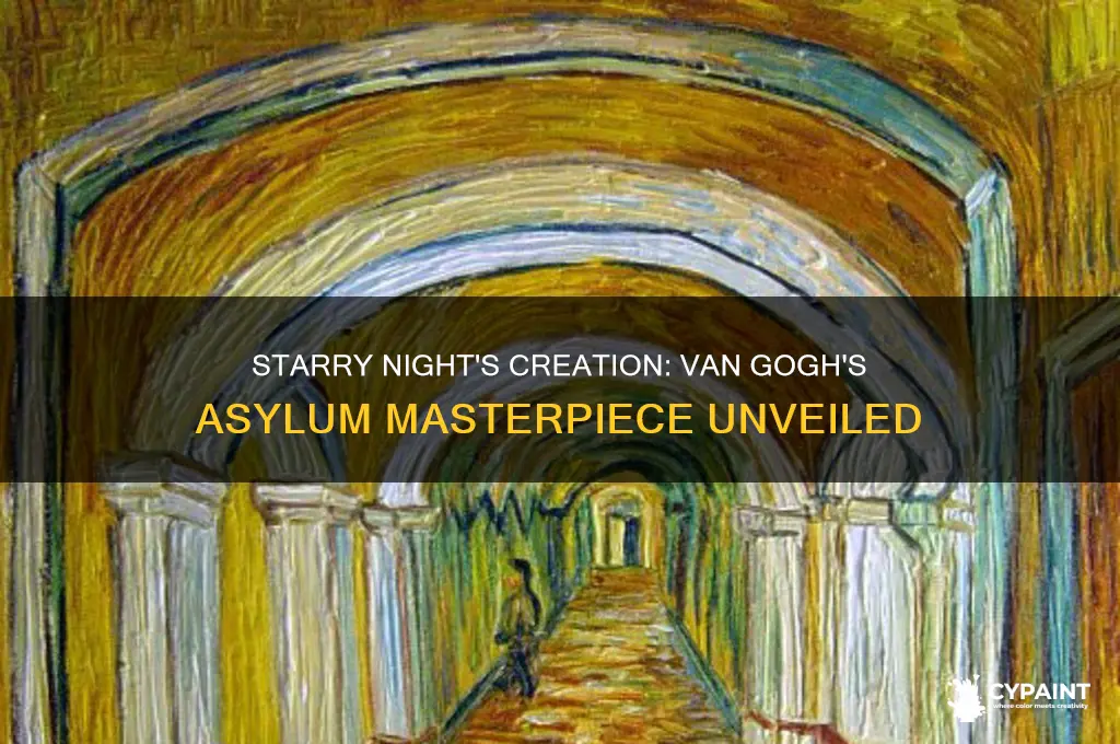 did vincent van gogh paint starry night in an asylum