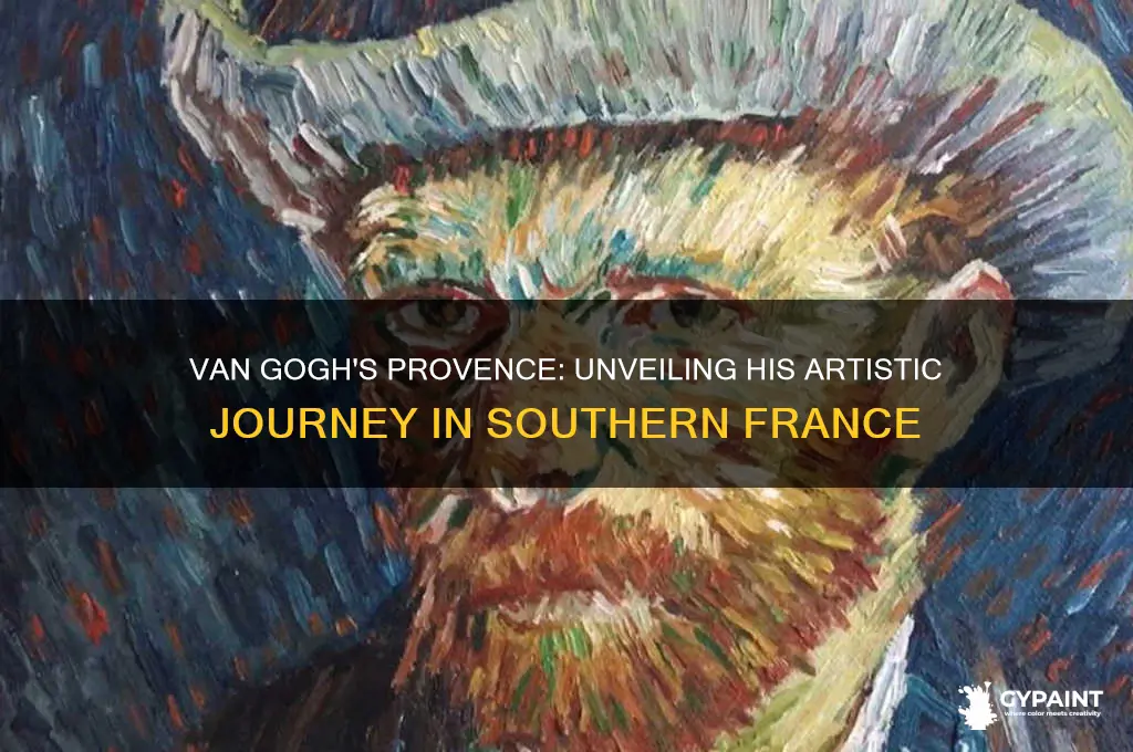 did vinecent van gough paint in provence