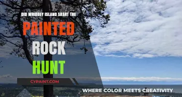 Whidbey Island's Painted Rock Hunt: The Origin Story Unveiled