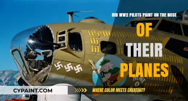 WWII Pilots' Nose Art: History, Meaning, and Legacy Explained