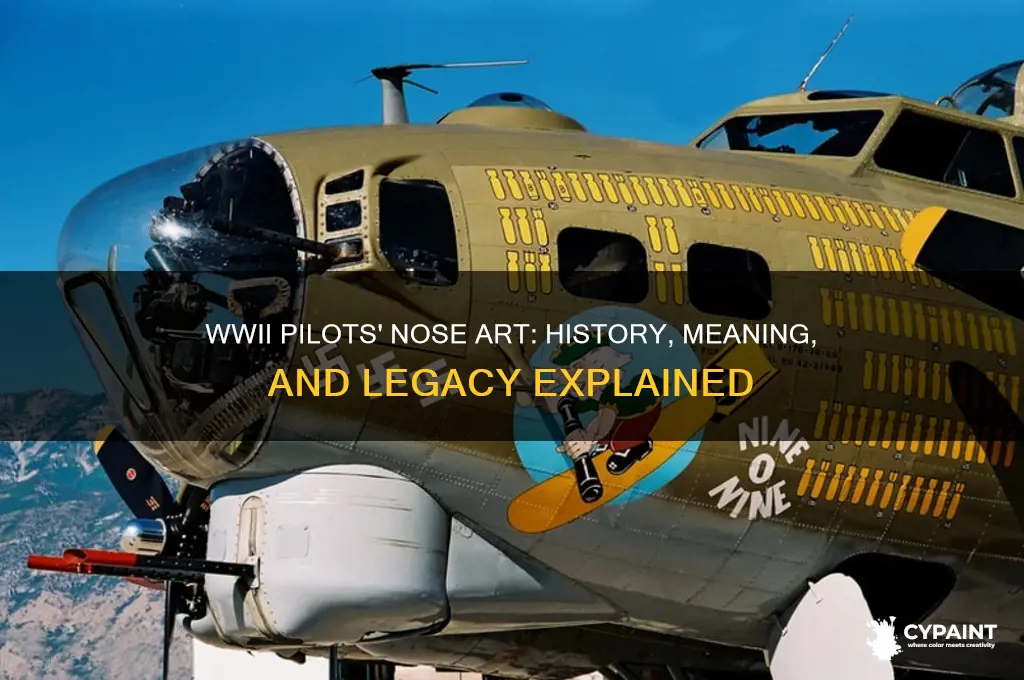 did ww2 pilots paint on the nose of their planes