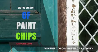 Unraveling the Risks: Did You Eat a Lot of Paint Chips?