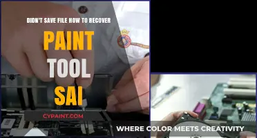 Recovering Unsaved Paint Tool SAI Files: Quick Solutions and Tips