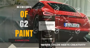 Perfecting Your Paint Job: Two or Three Coats of G2 Paint?