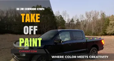 Will 3M Command Strips Damage or Remove Paint from Walls?