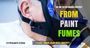 Do Air Filter Masks Effectively Protect Against Paint Fumes?