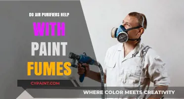 Can Air Purifiers Eliminate Paint Fumes? A Comprehensive Guide
