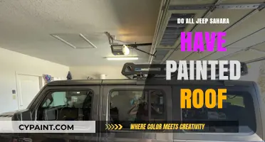 Do All Jeep Sahara Models Feature a Painted Roof?