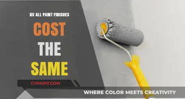 Paint Finish Pricing: Do All Options Cost the Same?
