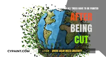 Should Cut Trees Be Painted? Uncovering Post-Cut Tree Care Myths